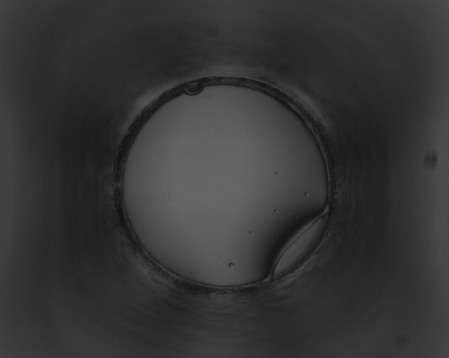 X0000091881264200710031114