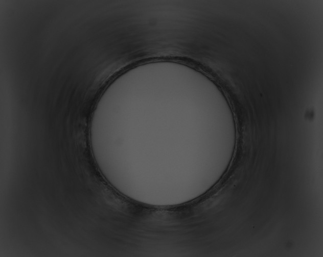 X0000091881265200710031114