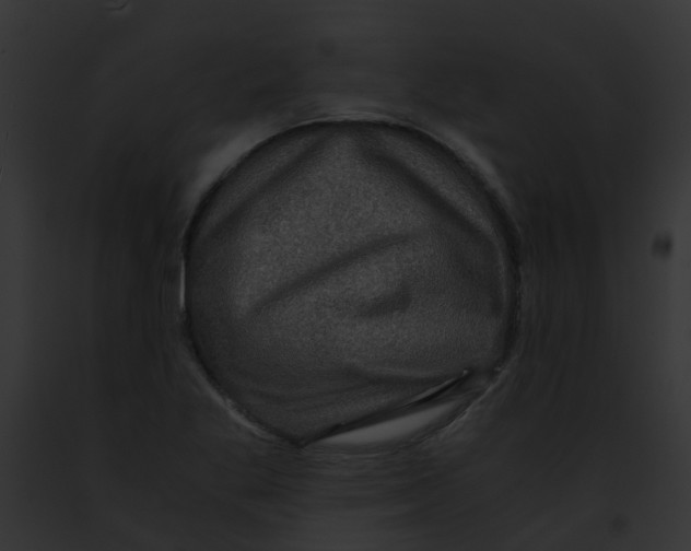 X0000091881269200710031114