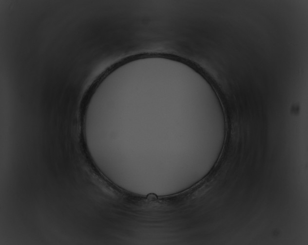 X0000091881270200710031114