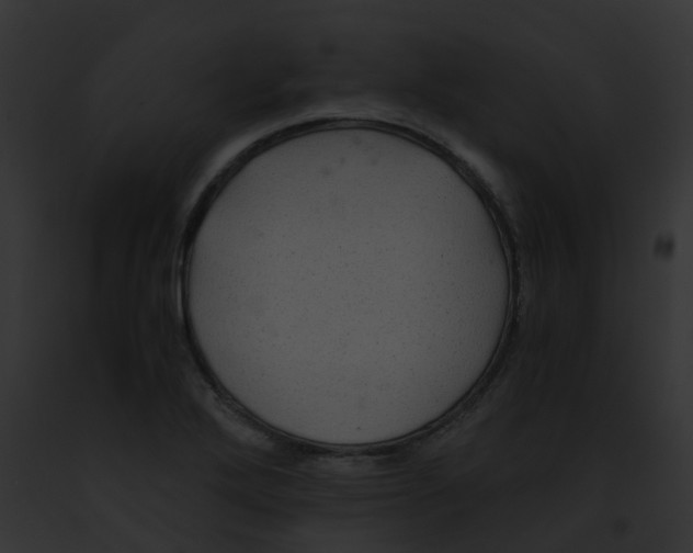 X0000091881272200710031114