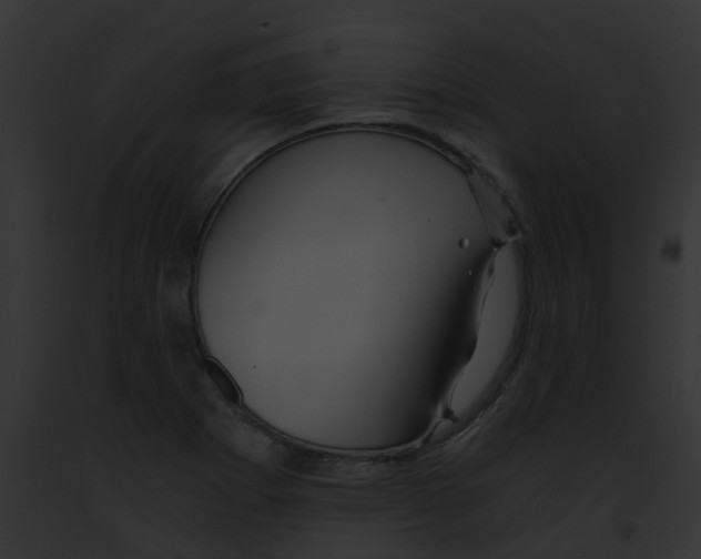 X0000091881273200710031114