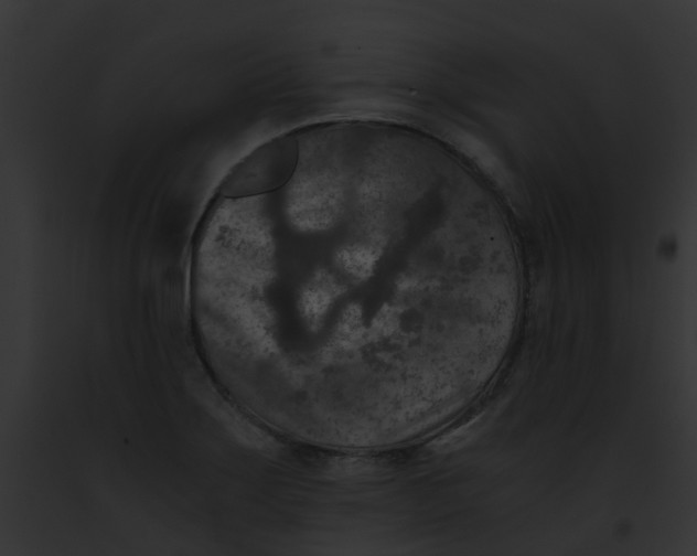 X0000091881275200710031114