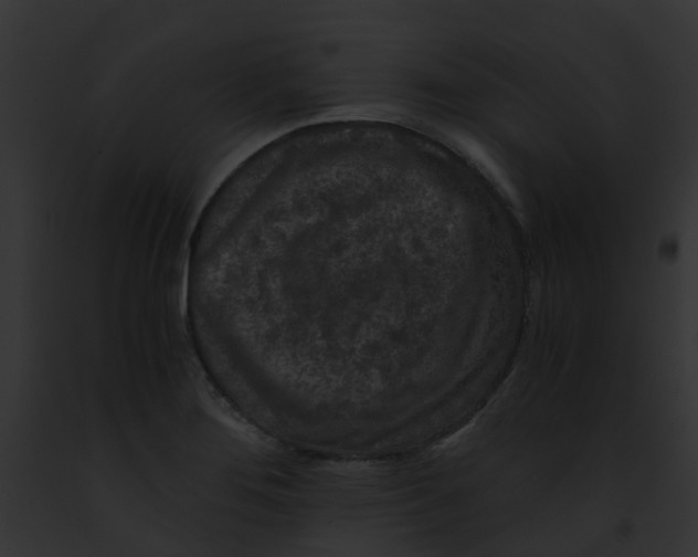 X0000091881276200710031114