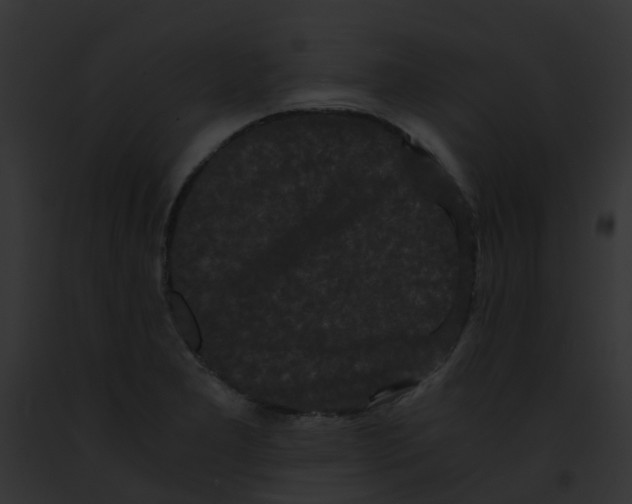 X0000091881277200710031113