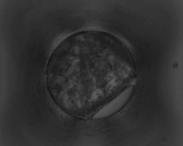 X0000091881279200710031113