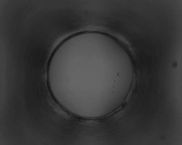 X0000091881280200710031113