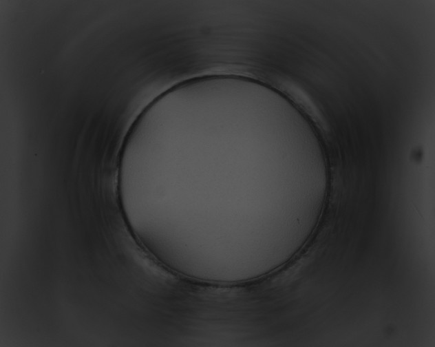 X0000091881284200710031113