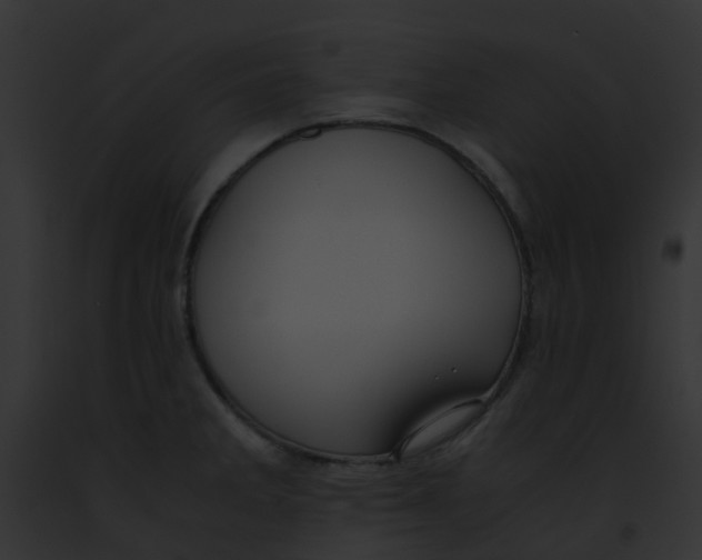 X0000091881285200710031113