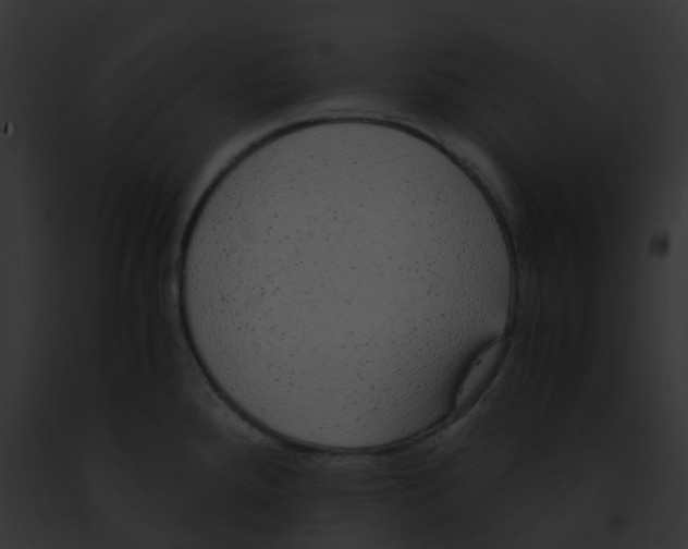 X0000091881288200710031113