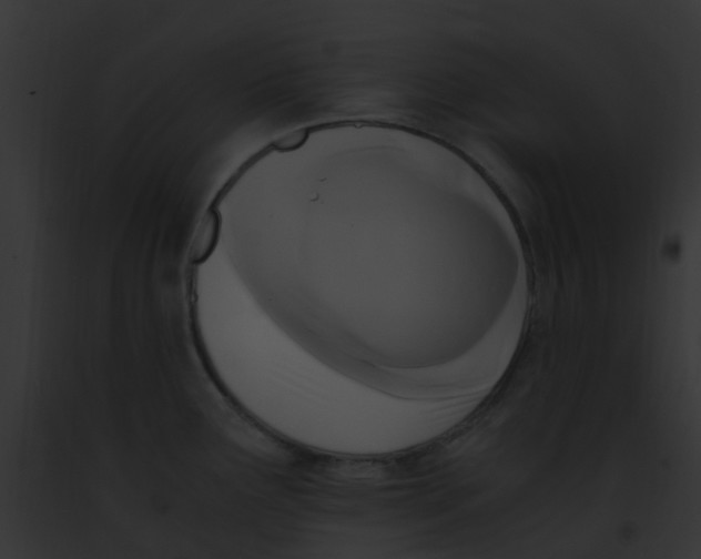 X0000091881291200710031113