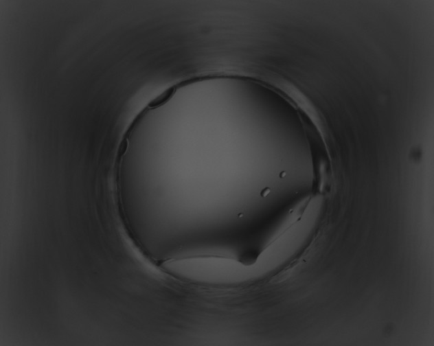 X0000091881293200710031113