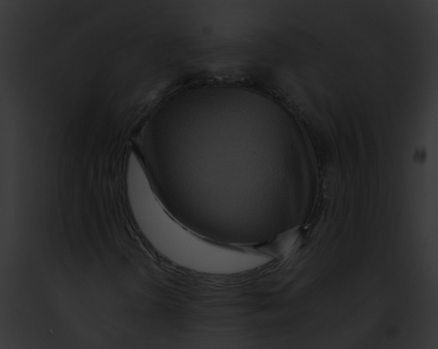 X0000091881298200710031112