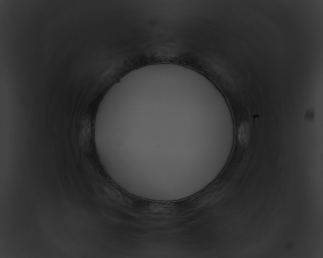 X0000091881299200710031113