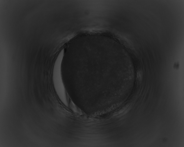 X0000091881300200710031113