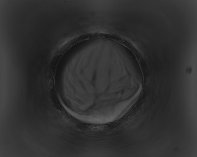 X0000091881303200710031113