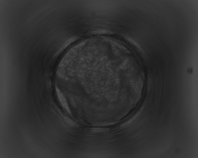 X0000091881305200710031113