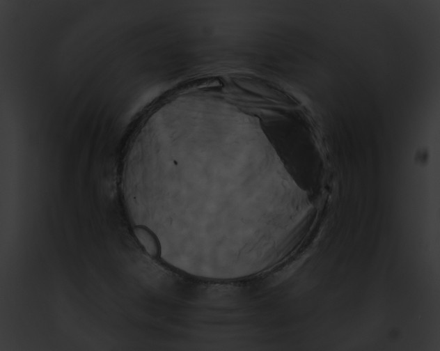 X0000091881306200710031113