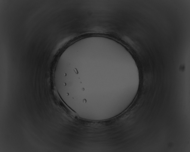 X0000091881307200710031113