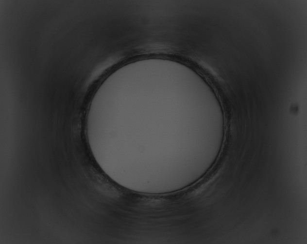 X0000091881309200710031113