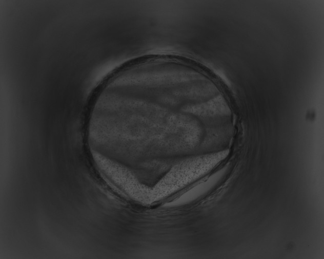 X0000091881311200710031113