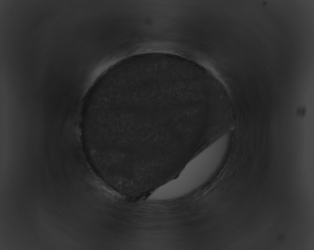 X0000091881312200710031113