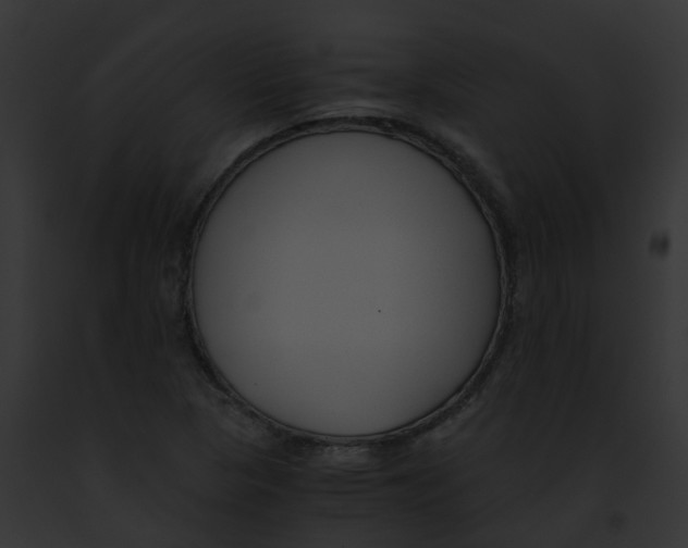 X0000091881313200710031113