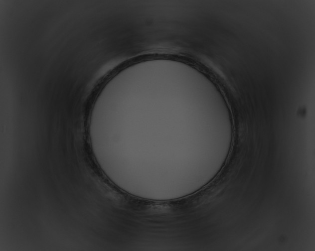 X0000091881315200710031113