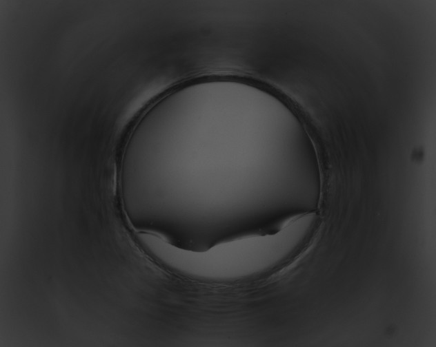 X0000091881317200710031113