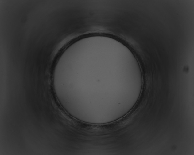 X0000091881318200710031113