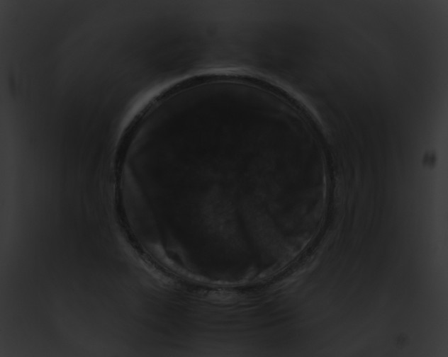 X0000091881319200710031113