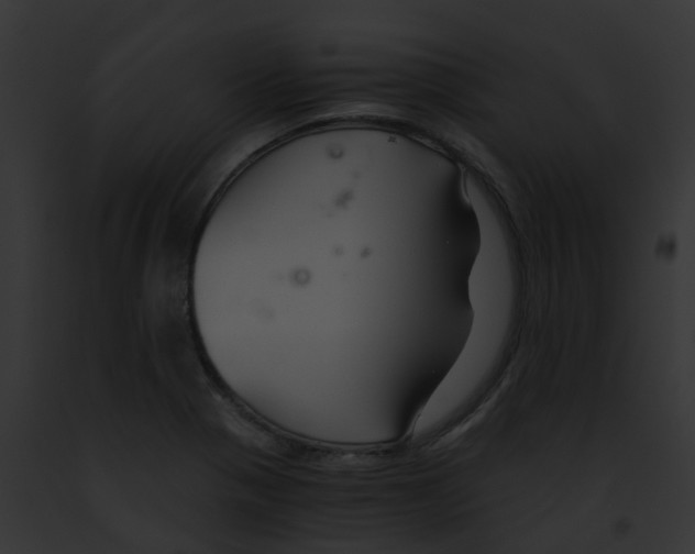 X0000091881321200710031113