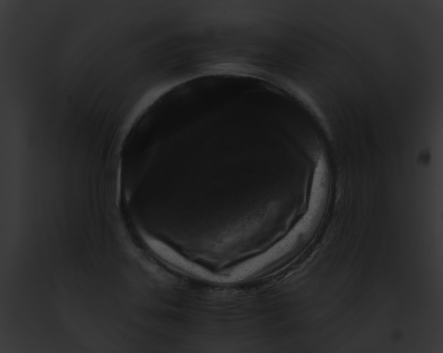 X0000091881323200710031113