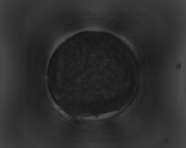 X0000091881327200710031113