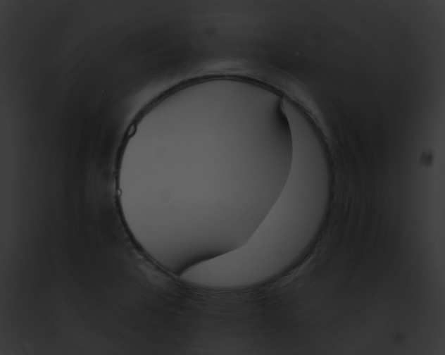 X0000091881328200710031113