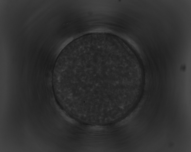 X0000091881329200710031113