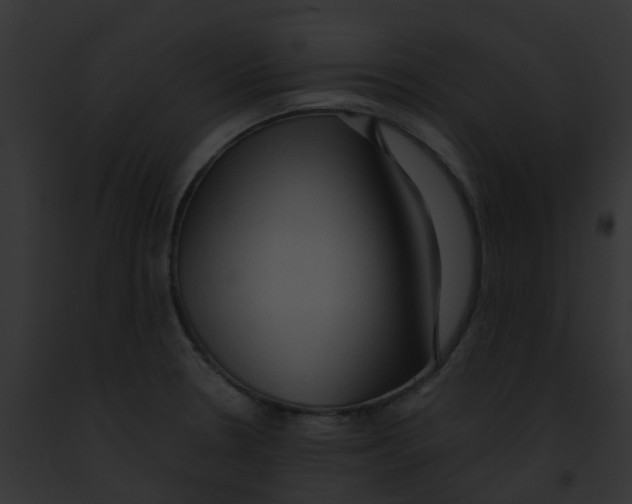 X0000091881330200710031113