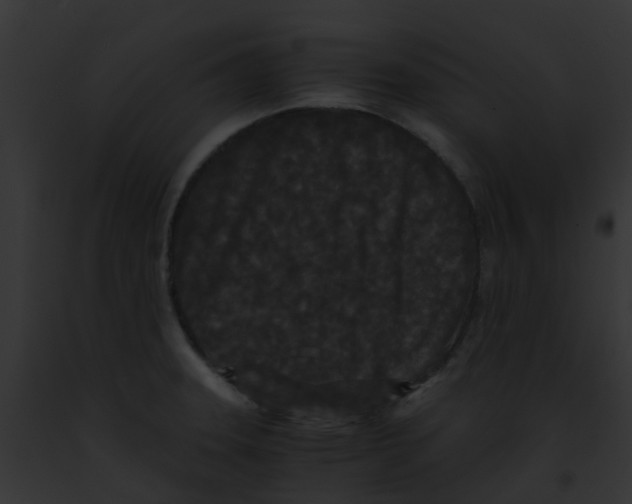 X0000091881331200710031113