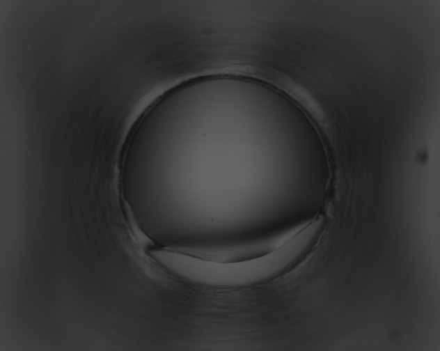 X0000091881332200710031113