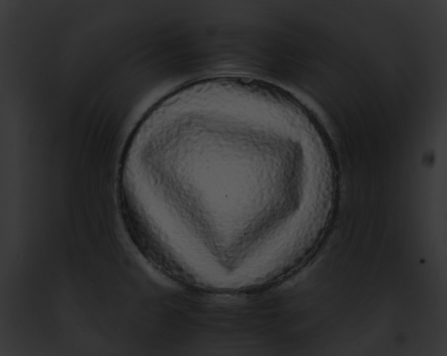 X0000091881333200710031113