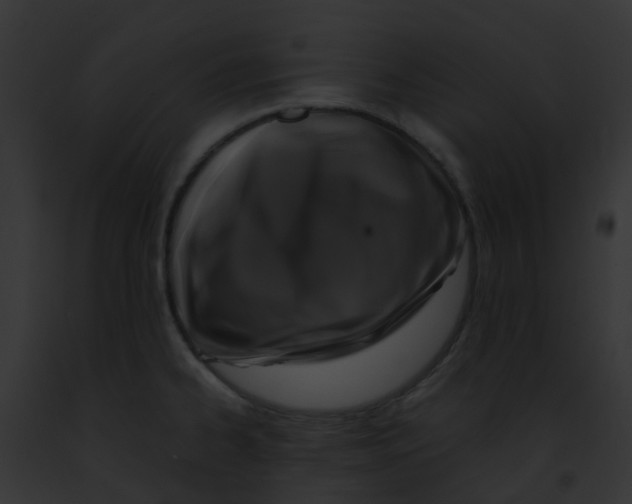 X0000091881334200710031113