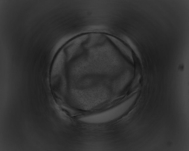 X0000091881336200710031113