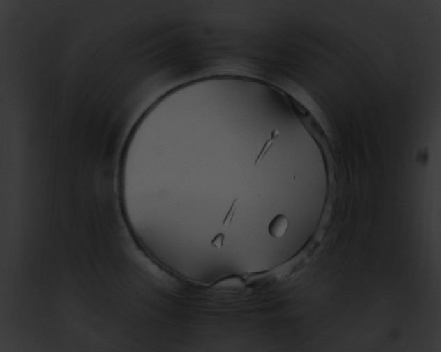 X0000091881339200710031113