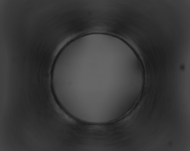 X0000091881341200710031113