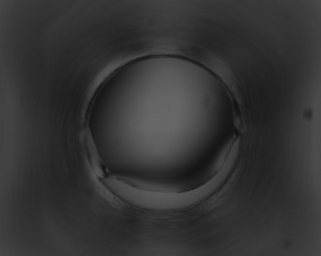 X0000091881342200710031113