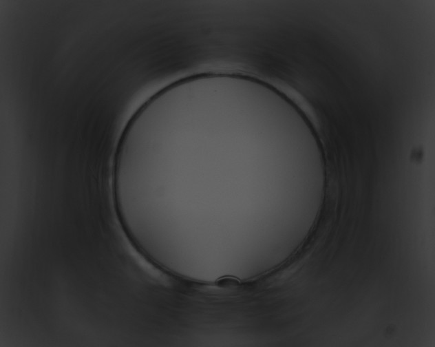 X0000091881343200710031113