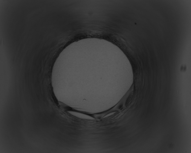 X0000091881345200710031112