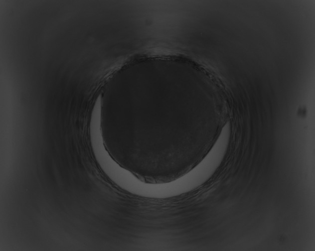 X0000091881348200710031112