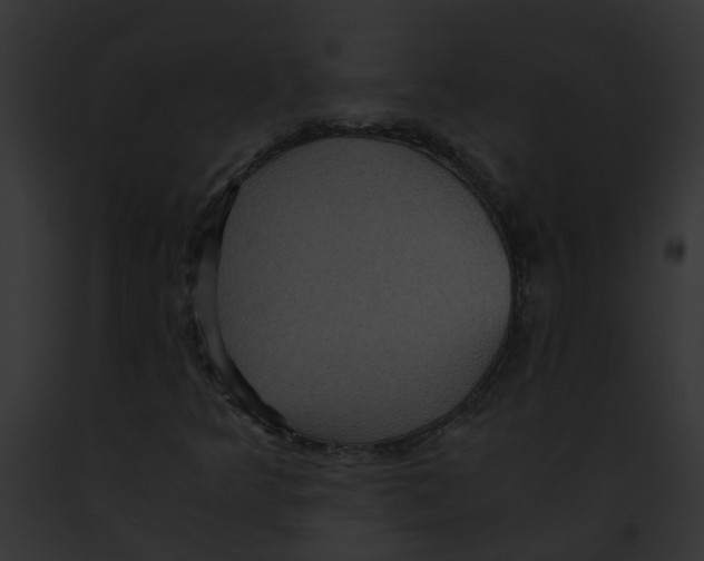 X0000091881349200710031112