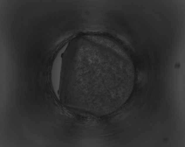 X0000091881350200710031112